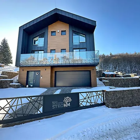 Pri Rybniku Strohm Vila