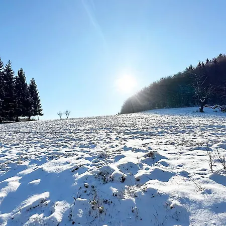 Pri Rybniku Strohm Vila *