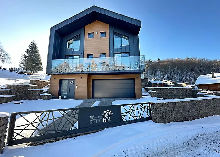 Pri Rybniku Strohm Villa