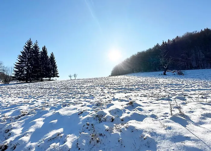 Pri Rybniku Strohm Villa *